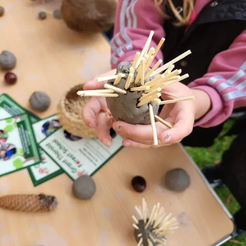 Nature discovery and wildlife exploration activities