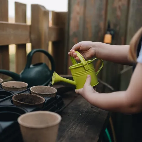 Sand and water play exploration